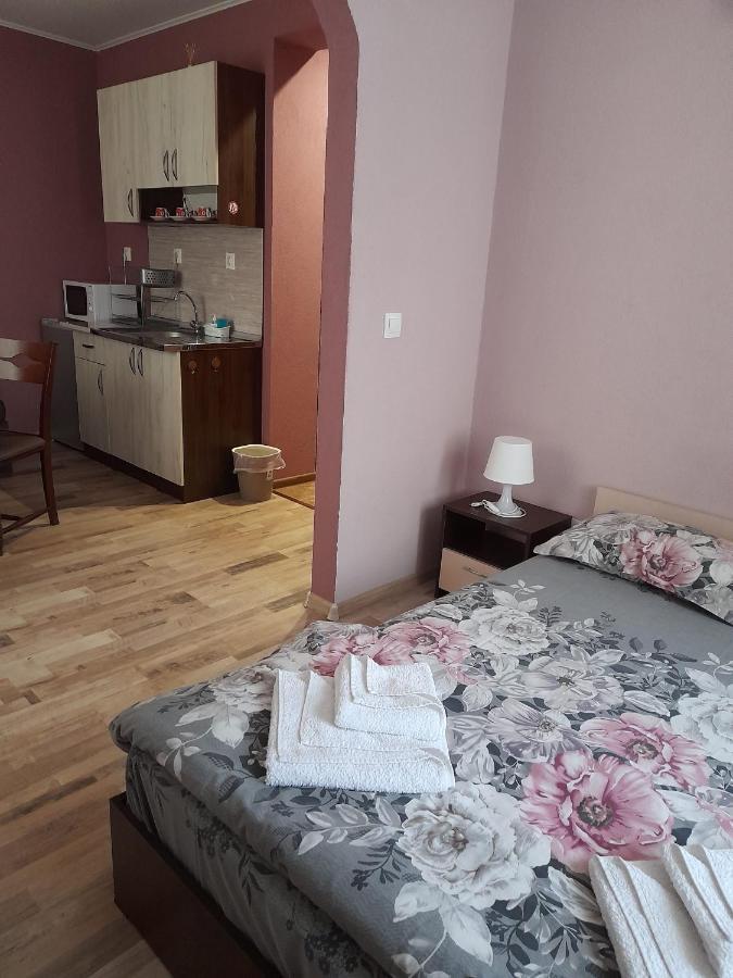 Guest Rooms Ider サパレヴァ・バニャ エクステリア 写真