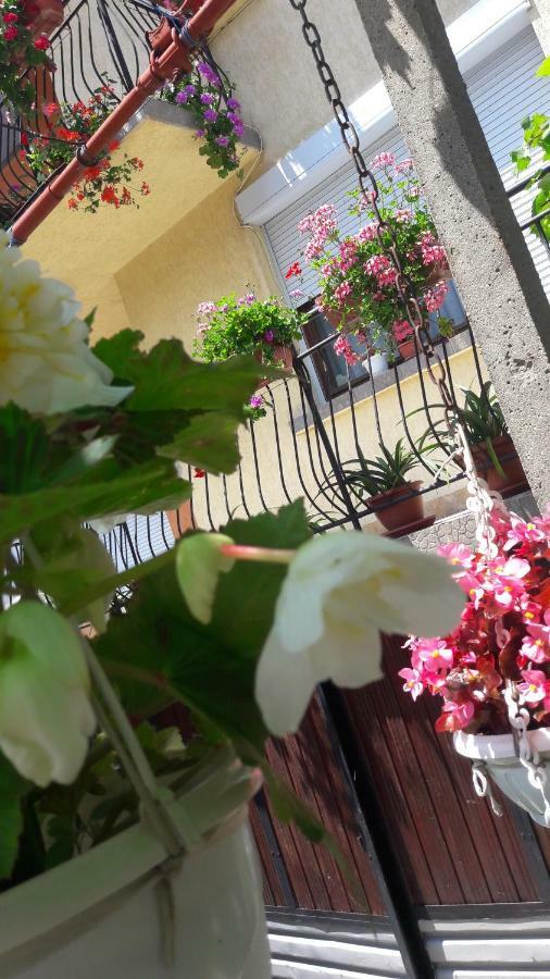 Guest Rooms Ider サパレヴァ・バニャ エクステリア 写真